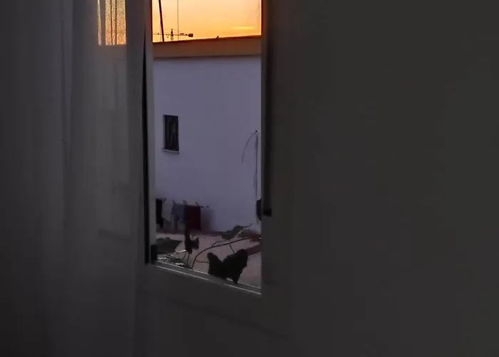 1 Sevilla